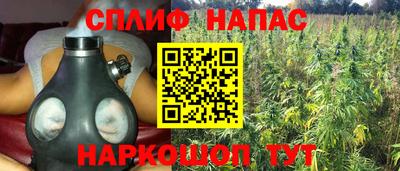 дмт Бузулук