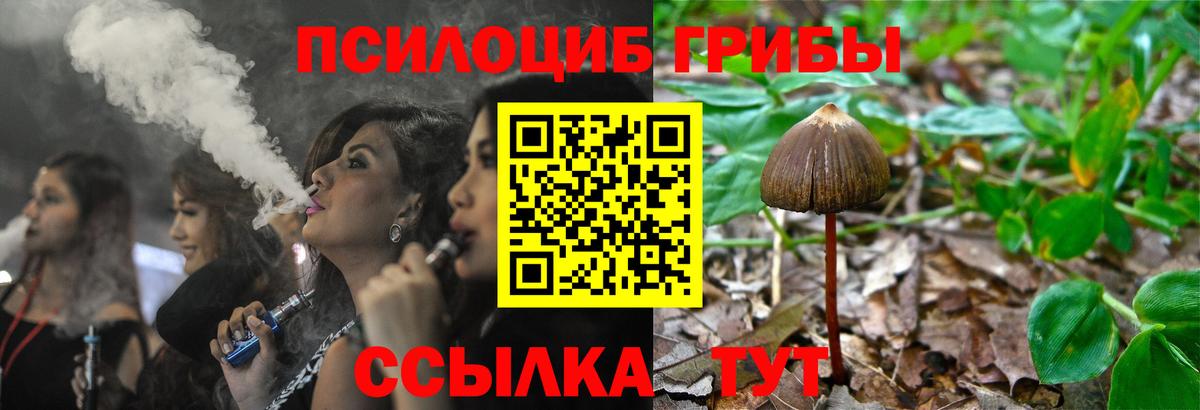 Псилоцибиновые грибы GOLDEN TEACHER Ухта