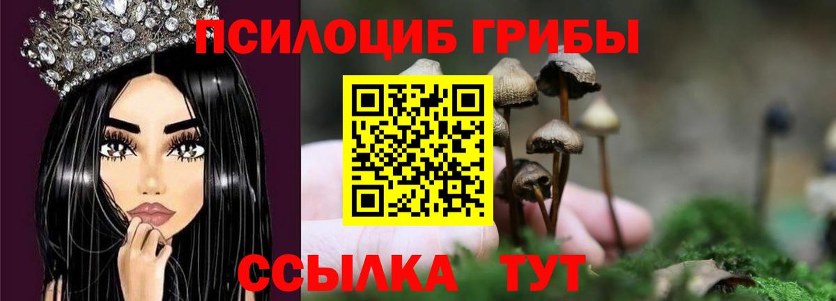 Ухта  Галлюциногенные грибы прущие грибы  Вход с VPN 